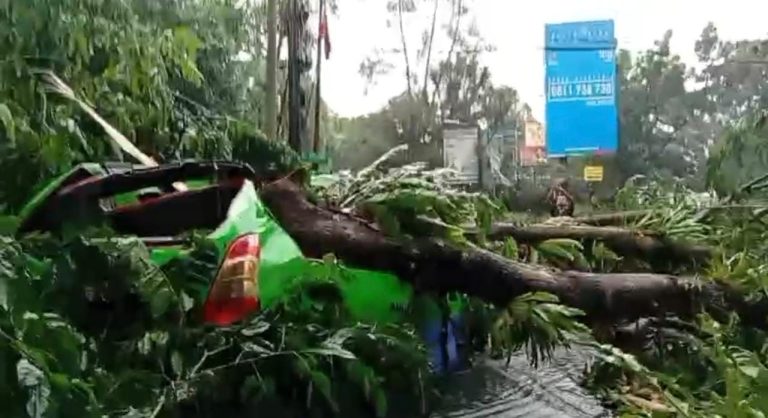 Hujan Deras dan Angin Kencang Terjang Bogor, Satu Angkot Tertimpa Pohon Besar