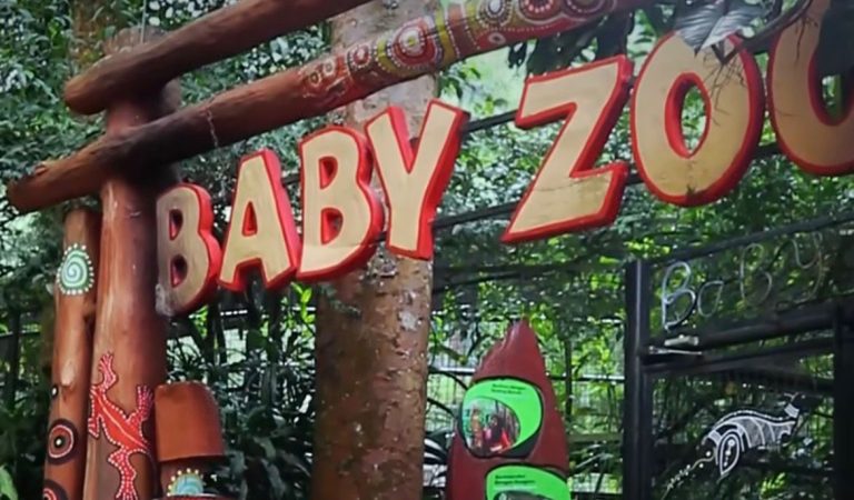 Baby Zoo Taman Safari Bogor