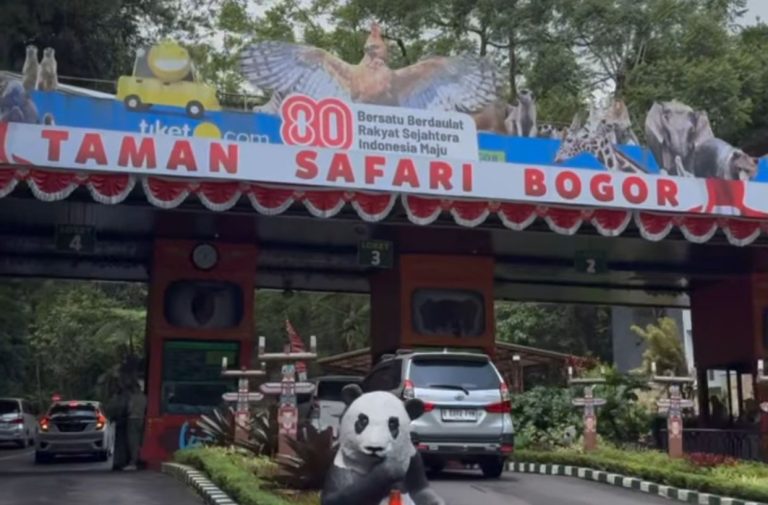Tanggapi Soal Banjir, Taman Safari Bogor Pastikan Kondisi Aman dan Operasional Normal