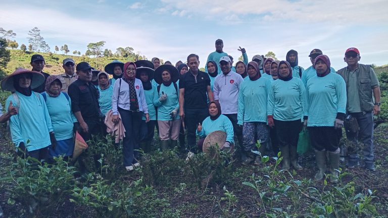 Menteri LH Soroti Kerentanan DAS Ciliwung, Ribuan Pohon Ditanam di Perkebunan Teh Puncak