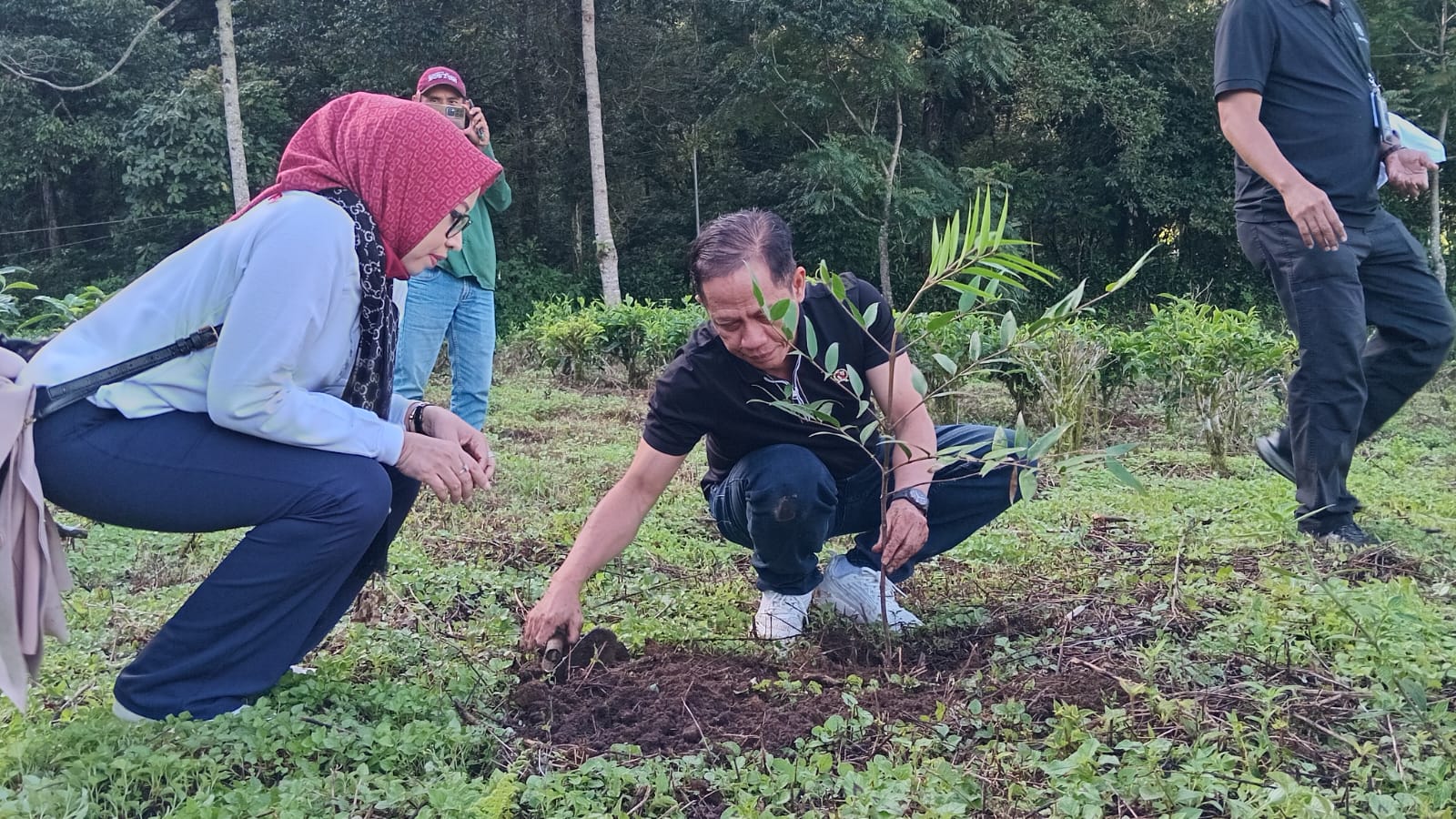 Menteri LH Soroti Kerentanan DAS Ciliwung, Ribuan Pohon Ditanam di Perkebunan Teh Puncak