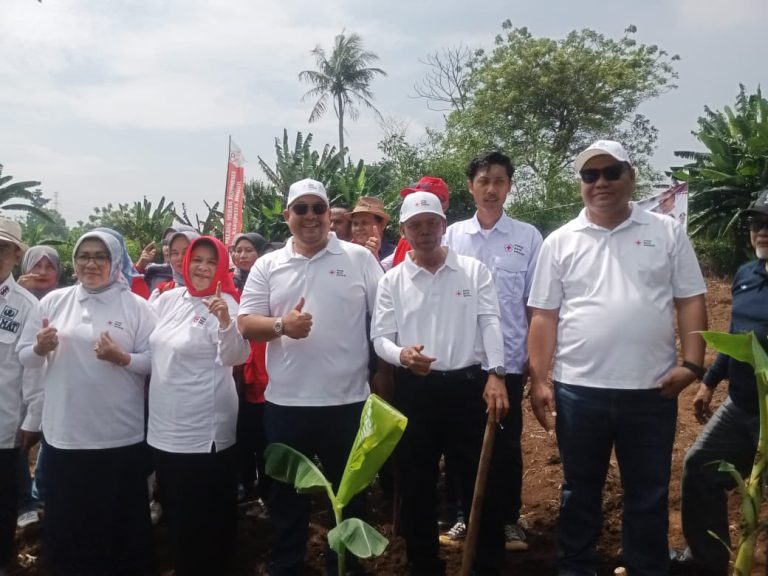 Manfaatkan Lahan Tidur, PMI Kabupaten Bogor Gerakkan Swasembada Pangan Lewat Penanaman Jagung di Tajurhalang