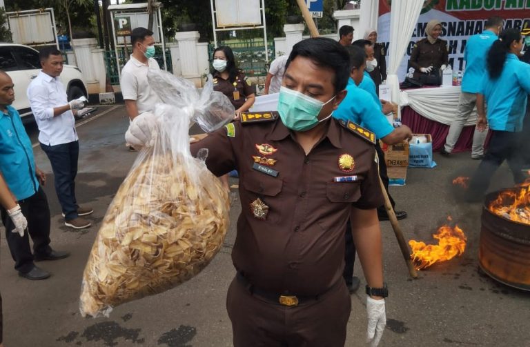 Kejari Kabupaten Bogor Musnahkan 5 Kilogram Keripik Pisang Narkoba, Modus Baru Peredaran Narkotika Terbongkar