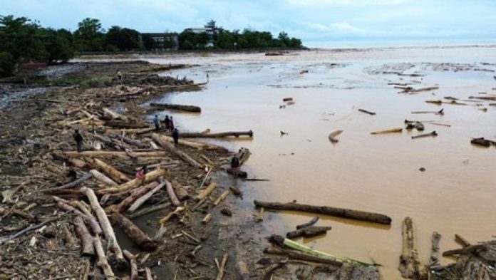 Kayu Terdampar Lampung