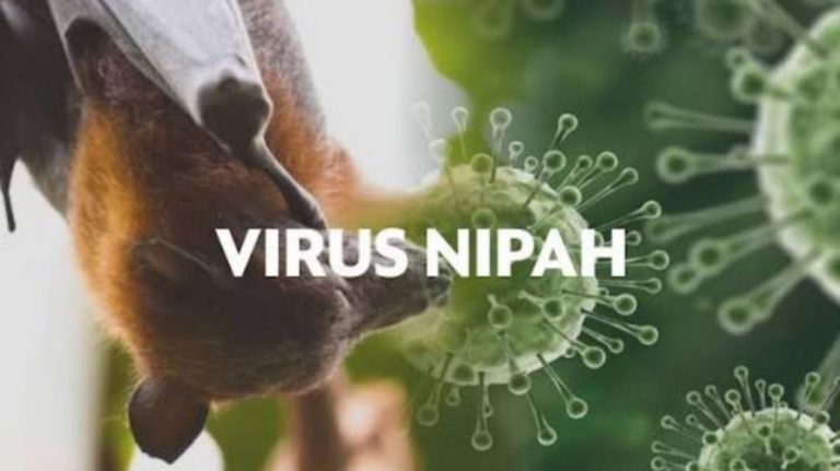 Waspada Global! Virus Nipah di Indonesia Dipantau Ketat Usai Muncul Kasus di India