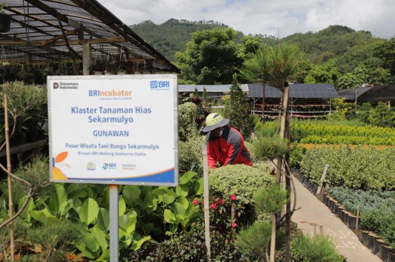 Perkuat Ekonomi Kerakyatan Berbasis Komunitas, BRI Berdayakan Lebih dari 42 Ribu Klaster Usaha