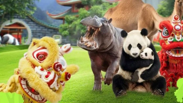 Taman Safari Bogor Suguhkan Ragam Atraksi Spesial Februari, dari Imlek hingga Iftar Ramadan