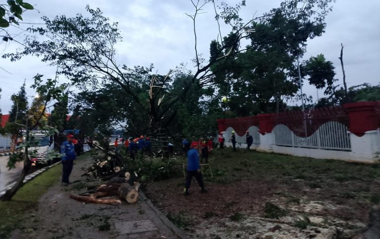 Pakansari Porak Poranda Disapu Puting Beliung, Petugas Mulai Bersihkan Puing