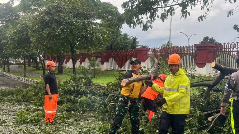 Pemkab Bogor Bakal Tanam Kembali Pohon Rusak Pasca Diterjang Puting Beliung di Stadion Gelora Pakansari