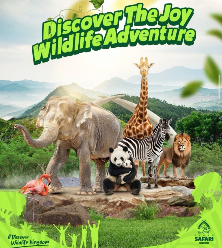 Safari Siang Premium Cuma Rp220 Ribu, Promo Spesial Hadir di Sedayu City