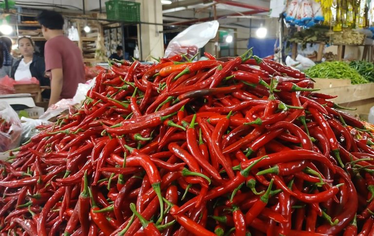 Daftar Harga Pangan di Pasar Jambu Dua Bogor Hari Ini Jumat 13 Maret 2026, Cabai Rawit Tembus Rp105 Ribu