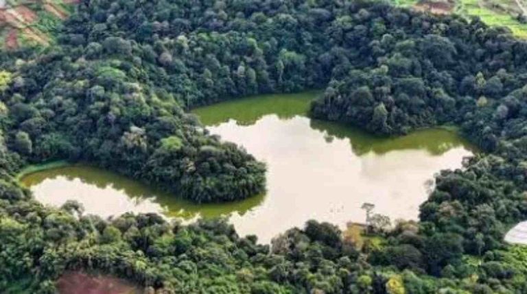 Situ Sangiang Majalengka, Wisata Alam Tenang dengan Daya Tarik Pohon Unik Berkaki Delapan