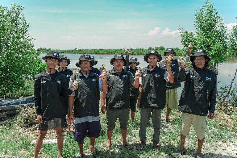 Peringati Hari Bumi, BRI Perkuat Komitmen Jaga Ekosistem Pesisir Lewat Penanaman Mangrove di Muara Gembong Bekasi