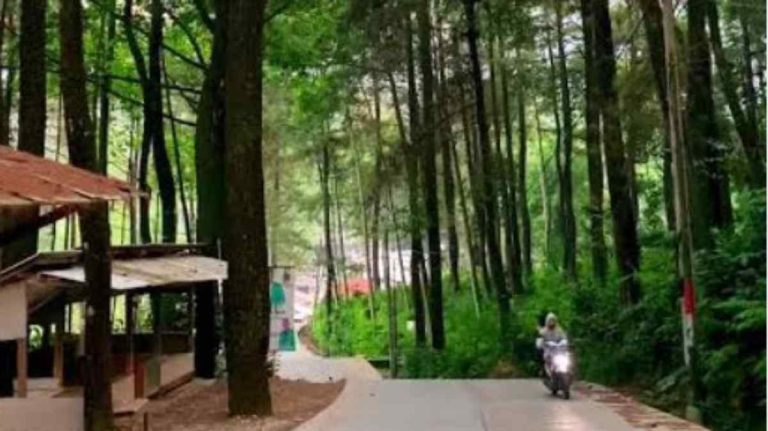 Tempat Wisata di Puncak 2 Bogor Terpopuler 2026 untuk Liburan Sejuk dan Bebas Macet