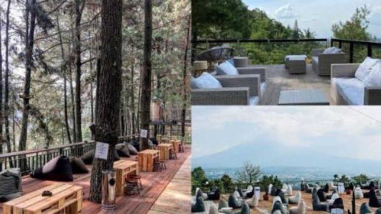 Cafe Hits di Bogor dengan Nuansa Alam Terbaik 2026, Ada yang Buka 24 Jam di Tengah Hutan Pinus