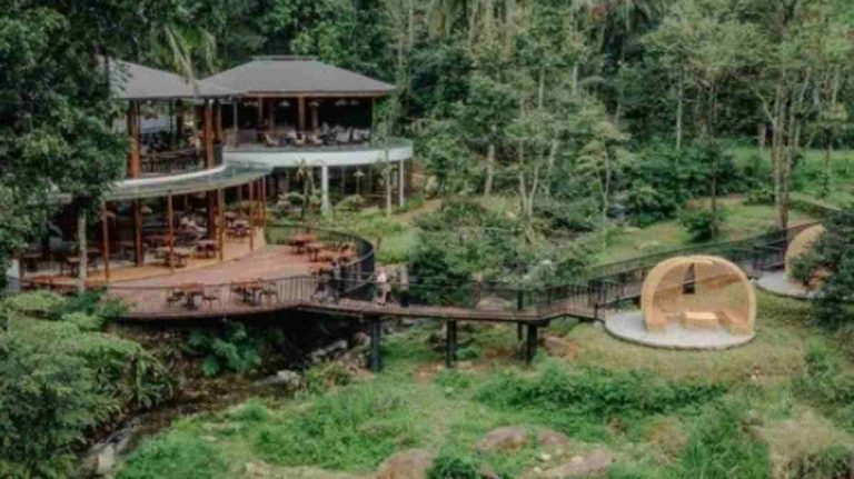 Weekend ke Bogor? 11 Tempat Liburan Hits Ini Sedang Naik Daun