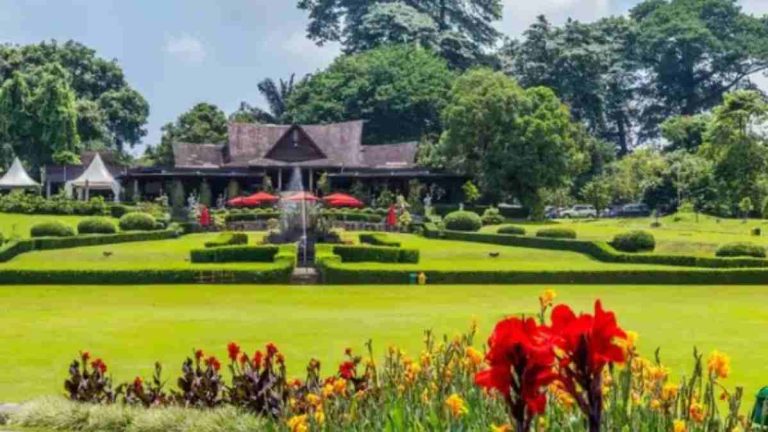Tempat Wisata Estetik di Bogor Paling Dekat Stasiun, Murah dan Instagramable