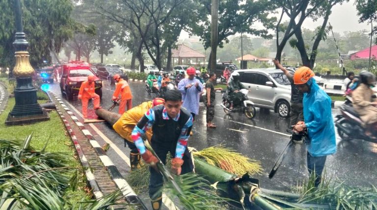 Pengendara Motor Tewas Usai Tertimpa Pohon Tumbang di Jalan Raya Tegar Beriman Cibinong