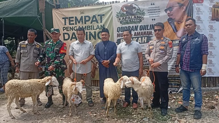 Jelang Idul Adha, Kapalang Jaya Farm Salurkan 300 Hewan Kurban untuk Masyarakat