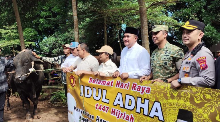 Presiden Prabowo Serahkan 108 Ekor Sapi Kurban Jenis Limosin Kepada Masyarakat Kabupaten Bogor