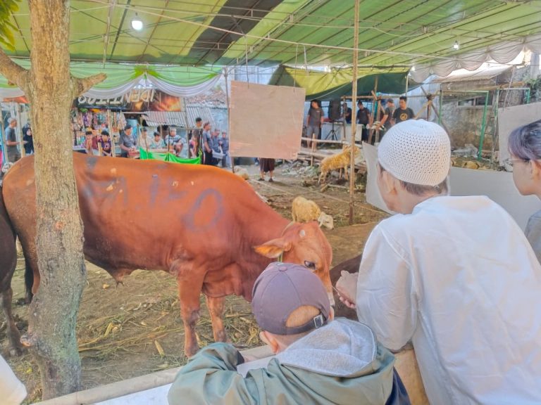 Kebersamaan Idul Adha, 8 Sapi dan 42 Kambing Disembelih di RW 04 Gang Mesjid