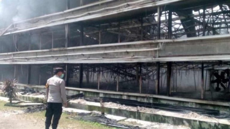 Kebakaran Kandang Ayam di Ciseeng Bogor, 150 Ribu Ayam Mati, Kerugian Rp15 Miliar
