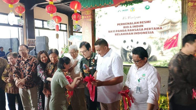 Pemkab Bogor Sambut Kehadiran Bayi Panda Rio, Bupati : Simbol Hubungan Baik Indonesia-Tiongkok