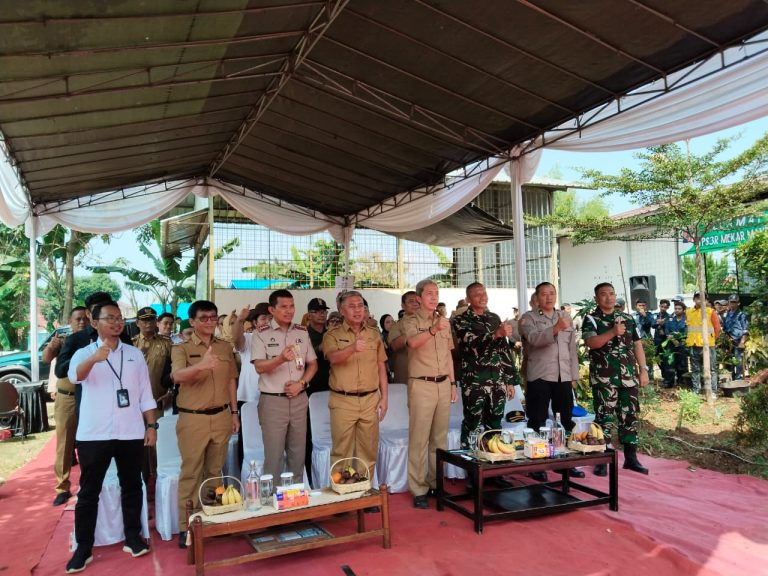 Pemkot Bogor Siapkan Perwali Baru, Siswa SD hingga SMA Wajib Menanam Pohon