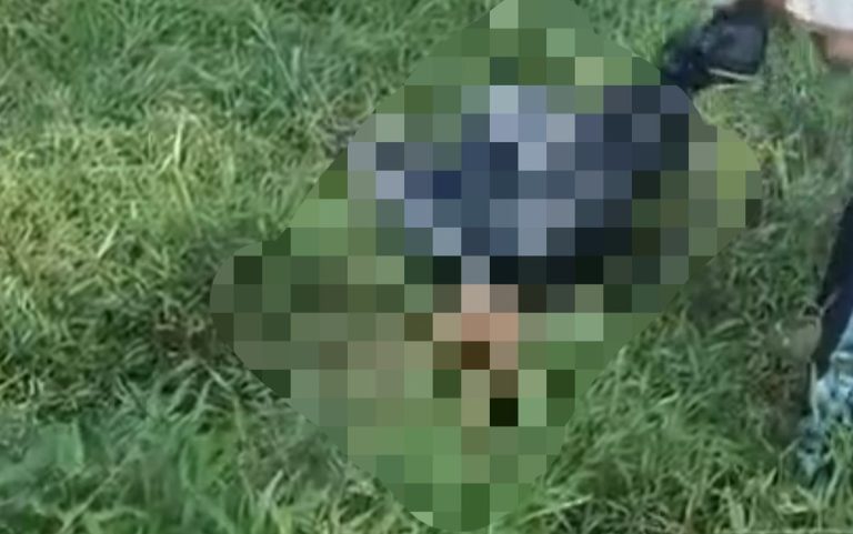 Bocah 9 Tahun Ditemukan Meninggal di Jasinga, Polisi Selidiki Dugaan Serangan Anjing Pemburu Babi