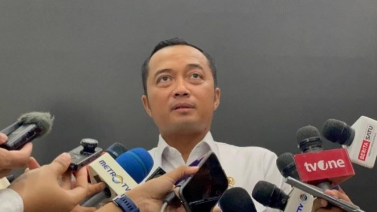 Wamen Imipas Silmy Karim Resmi Diberhentikan