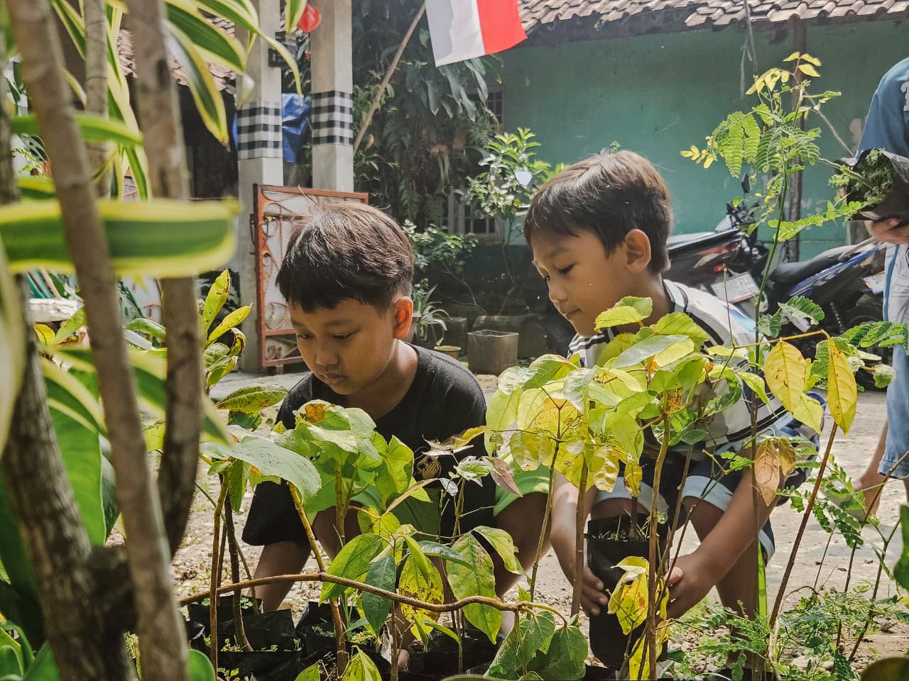 Dari Lahan Sunyi, Rancabungur Menyambut Harapan Baru